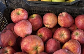 Manzana de Paterna